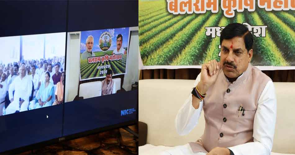 mp-cm--7-8-26-418082
