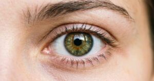 eye-img-8-9-26-52108888